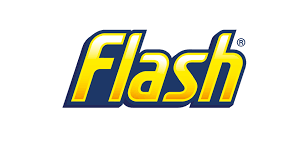 Flash logo