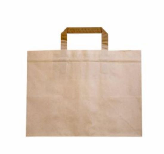 Paper Carrier Bag Sustain Large Deep Gusset Brown 12.5 X 8.5 X 9.5" (Case of 250)