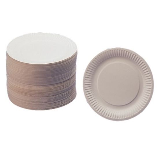Paper Plate 9" (Pack Of 100)
