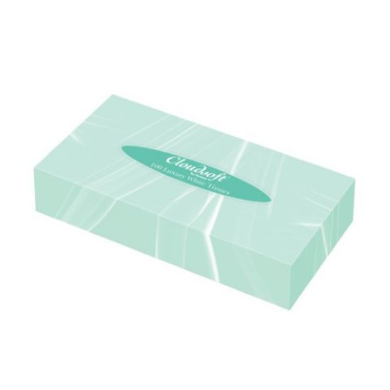 Facial Tissues Pure 2ply Hotel White (Box of 100)