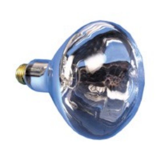 Heat Lamp 250w Es Hard Glass Heat Lamp