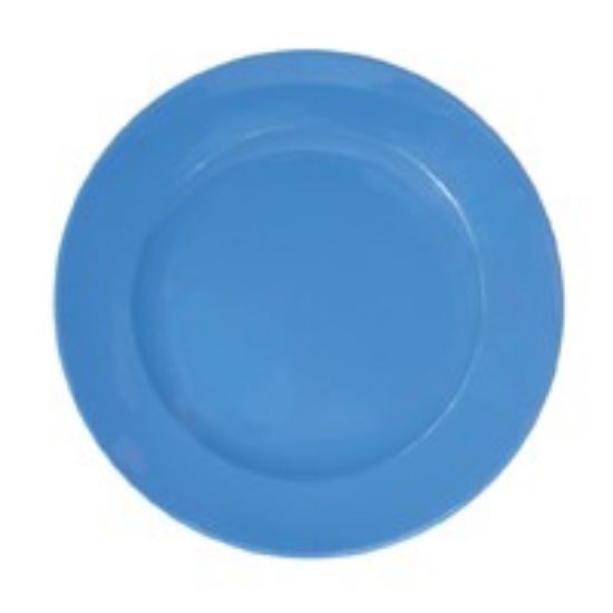 Polycarb Dinner Plate 24cm Blue