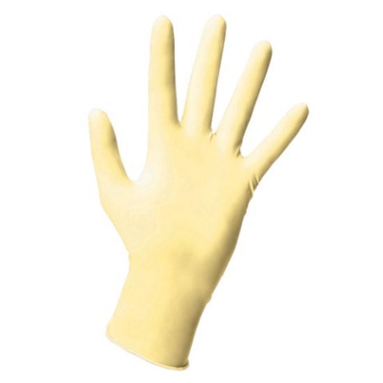 Jangro Soft Vinyl Examination Glove Powder Free Clear Large (Pack of 100)
