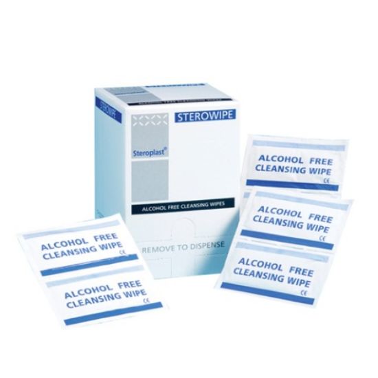 Alcohol Free Moist Wipes (10)