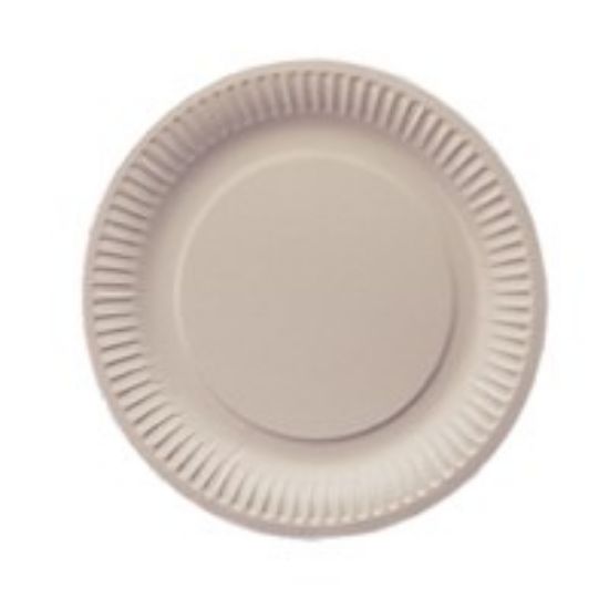 Paper Plate 7" (Pack Of 100)