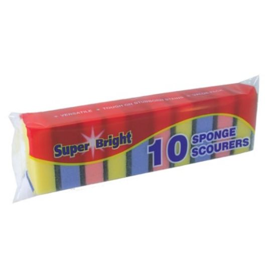 Sponge Scourer Case Of (100)