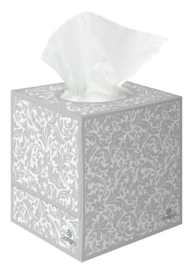 Jangro Cloudsoft Premium Cubed Luxury Facial Tissues 2ply Pure (Case of 24)