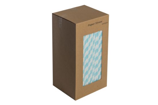 Light Blue Biodegradable Paper Straws 8" (Pack Of 250)