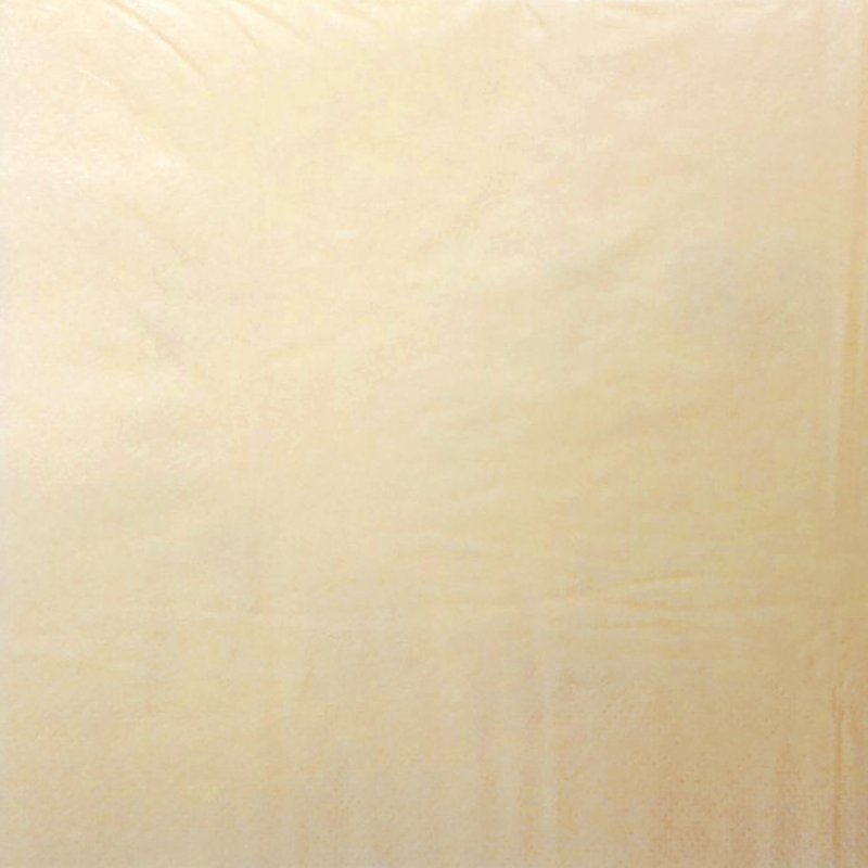 TABLIN AIRLAID DINNER NAPKIN 4 FOLD 40CM X 40CM CHAMPAGNE (500)