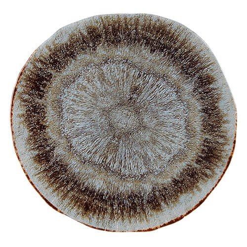 CASE OF 6 IRIS DESSERT PLATE 22cm