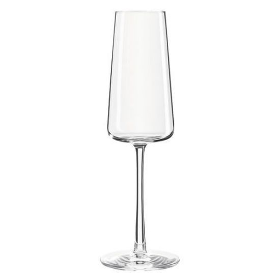 Stolzle Power Champagne Flute 238ml 8.5oz (6)