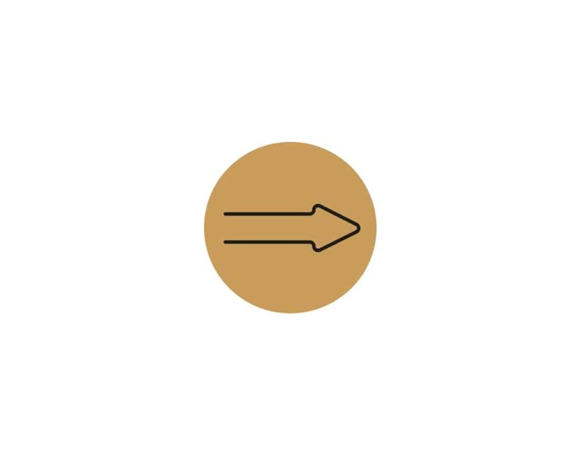 ARROW DIRECTION SYMBOL 150mm GOLD