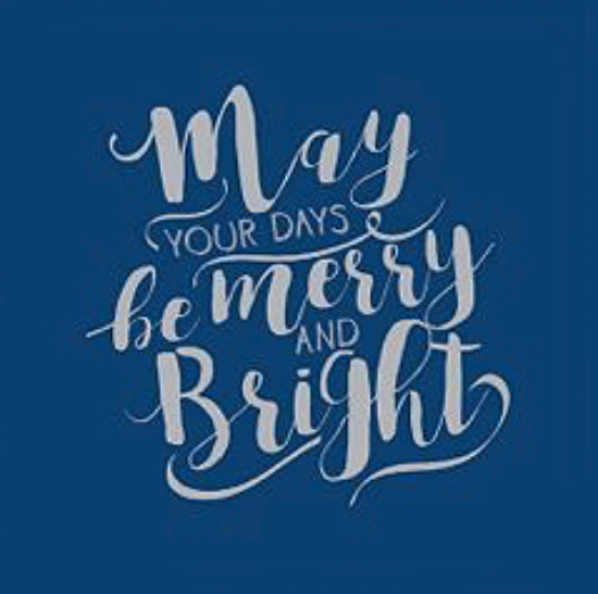 Navy And Silver Print 2ply Napkin 33x33cm (1000)
