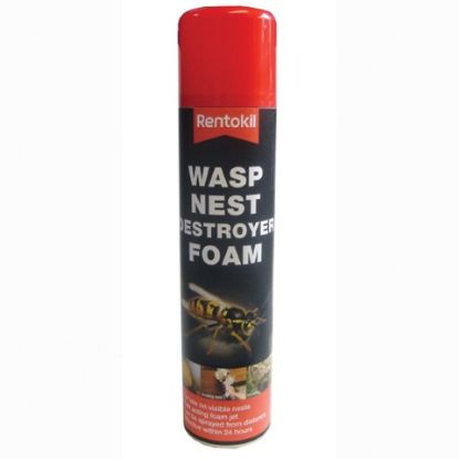 Wasp Destroyer Foam 300ml Psw97 *p
