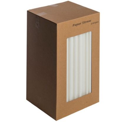 White Paper Biodegradable Straws 8" (Pack Of 250)