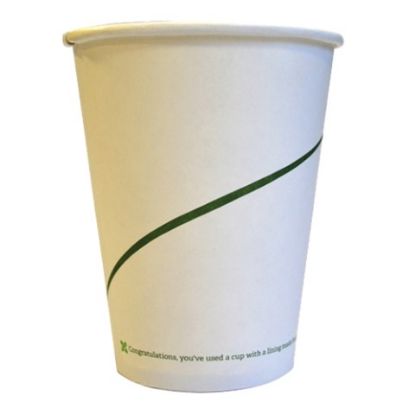 Paper Hot Cup Compostable White With Green Strip 8oz (Pack of 50)