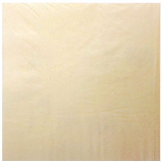 Napkin Dinner 40cm Champagne 2 Ply (Pack of 125)