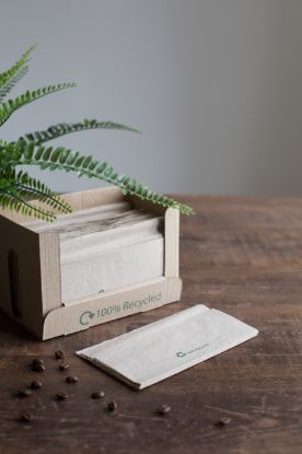 Sustain 100% Recycled Napkin 1ply Brown 32x30cm (Pack of 250)