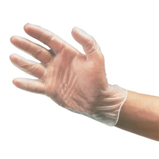 Jangro Clear 4g Vinyl Gloves Powder Free Large (Pack 100)