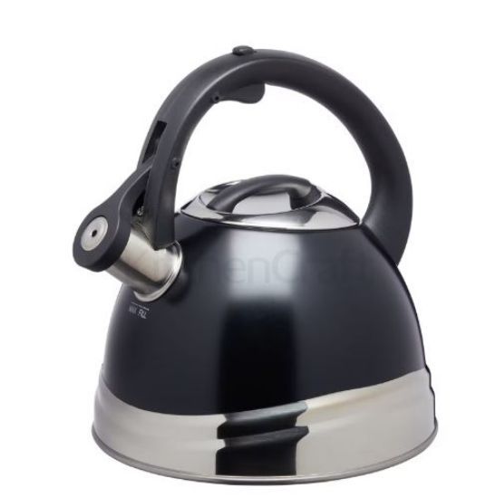 Whistling Kettle 1.6ltr St/St