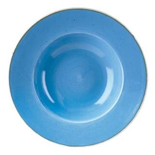 STONECAST WIDE RIM BOWL 11" CORNFLOWER BLUE (12)
