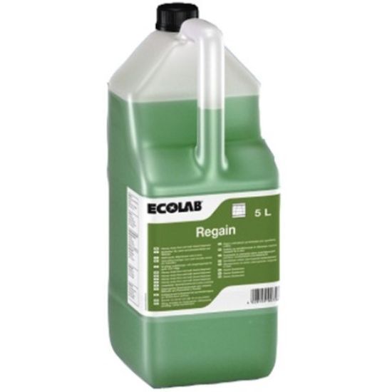 Regain Floor Wall & Surface Cleaner 5ltr (2) **LQ**