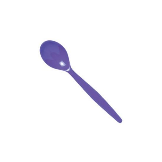Polycarb Tea Spoon Purple (12)