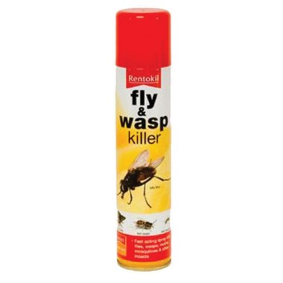 Fly And Wasp Killer Spray 300ml (Single)