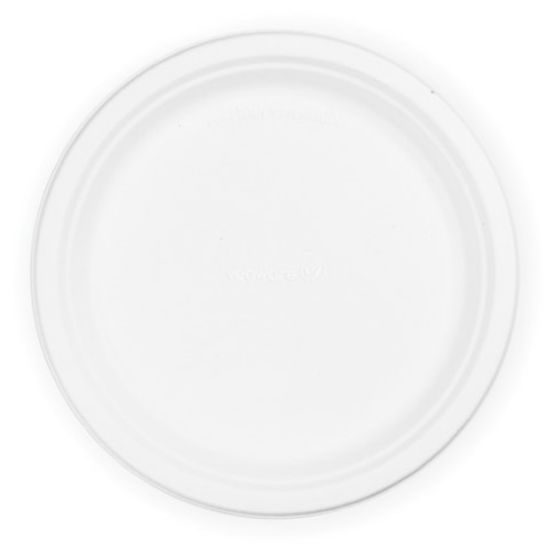 Bagasse Plate 10"  (Pack of 50)