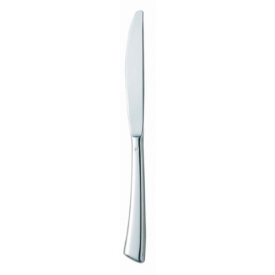 EZZO DINNER KNIFE SOLID HANDLE (12)