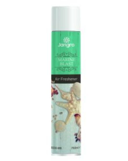 Giant Aerosol Air Freshner Marine Breeze 750ml **LQ**