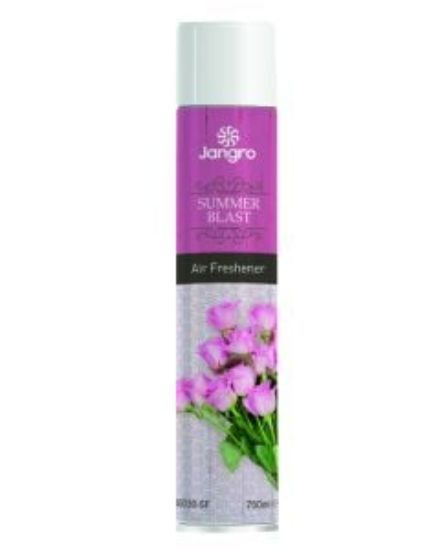 Giant Aerosol Air Freshener Summer Blast 750ml **LQ**