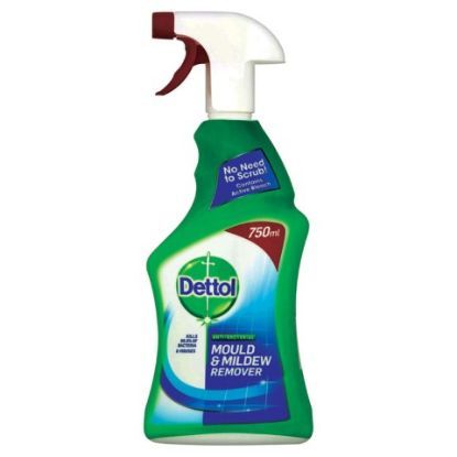 Dettol Mould & Mildew Remover 750ml (Single)