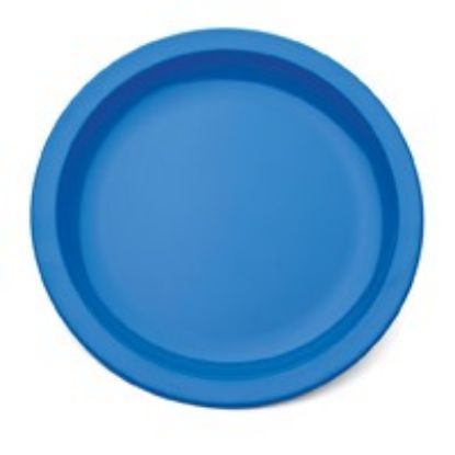 Polycarb Narrow Rim Plate 9" Blue (12) 