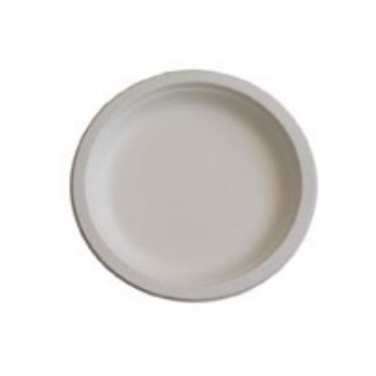 Compostable Nourish Sugar Cane Plate 10.25" 255mm  (Pack Of 50)