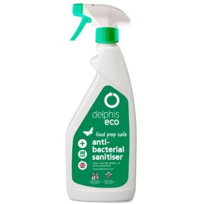 Delphis Eco Anti-Bacterial Sanitiser 750ml ((Single)