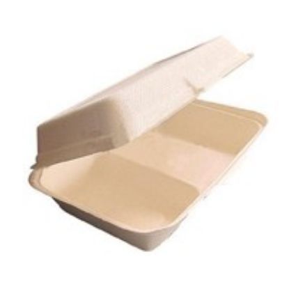Bagasse Meal Box 2 Compartment Hinged Lid 228x203mm (Case of 500)